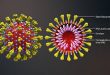 فيروس كورونا corona virus 2020