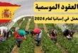عقود عمل إسبانيا