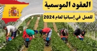 عقود عمل جديدة في إسبانيا 2026 للمغاربة
