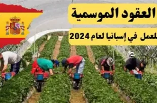 عقود عمل إسبانيا
