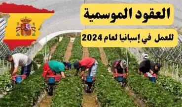 عقود عمل إسبانيا
